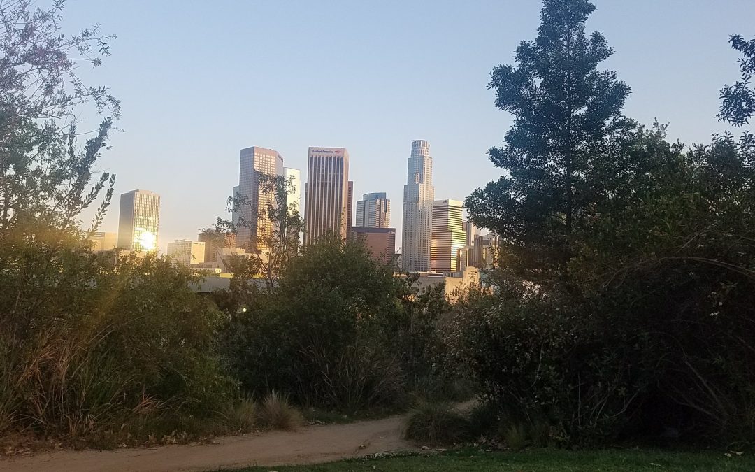 Hidden Gems: 5 Los Angeles Parks that are Perfect for Earth Day