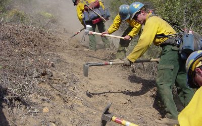 Wildfires, the New Normal, Demand Effective and Robust Legislation