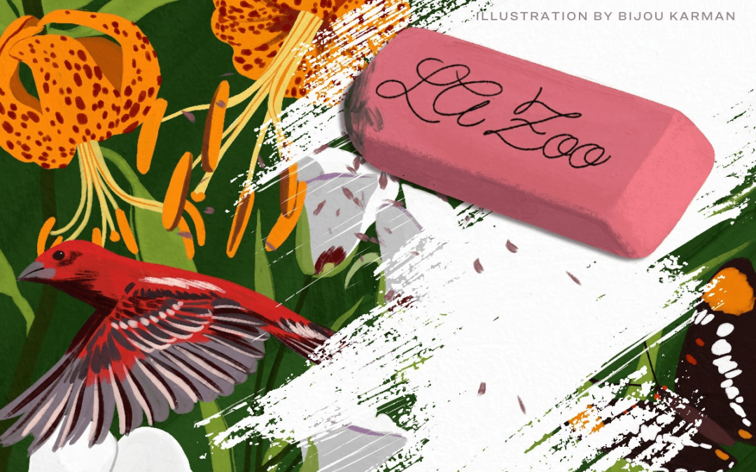 graphic with flowers, birds and LA Zoo on an eraser